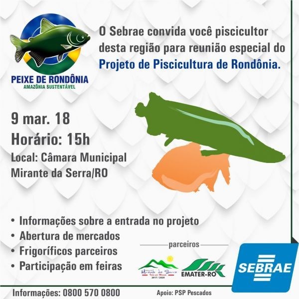 PROJETO SEBRAE da Cadeia produtiva da Piscicultura, apresentação do Frigorífico Peixe