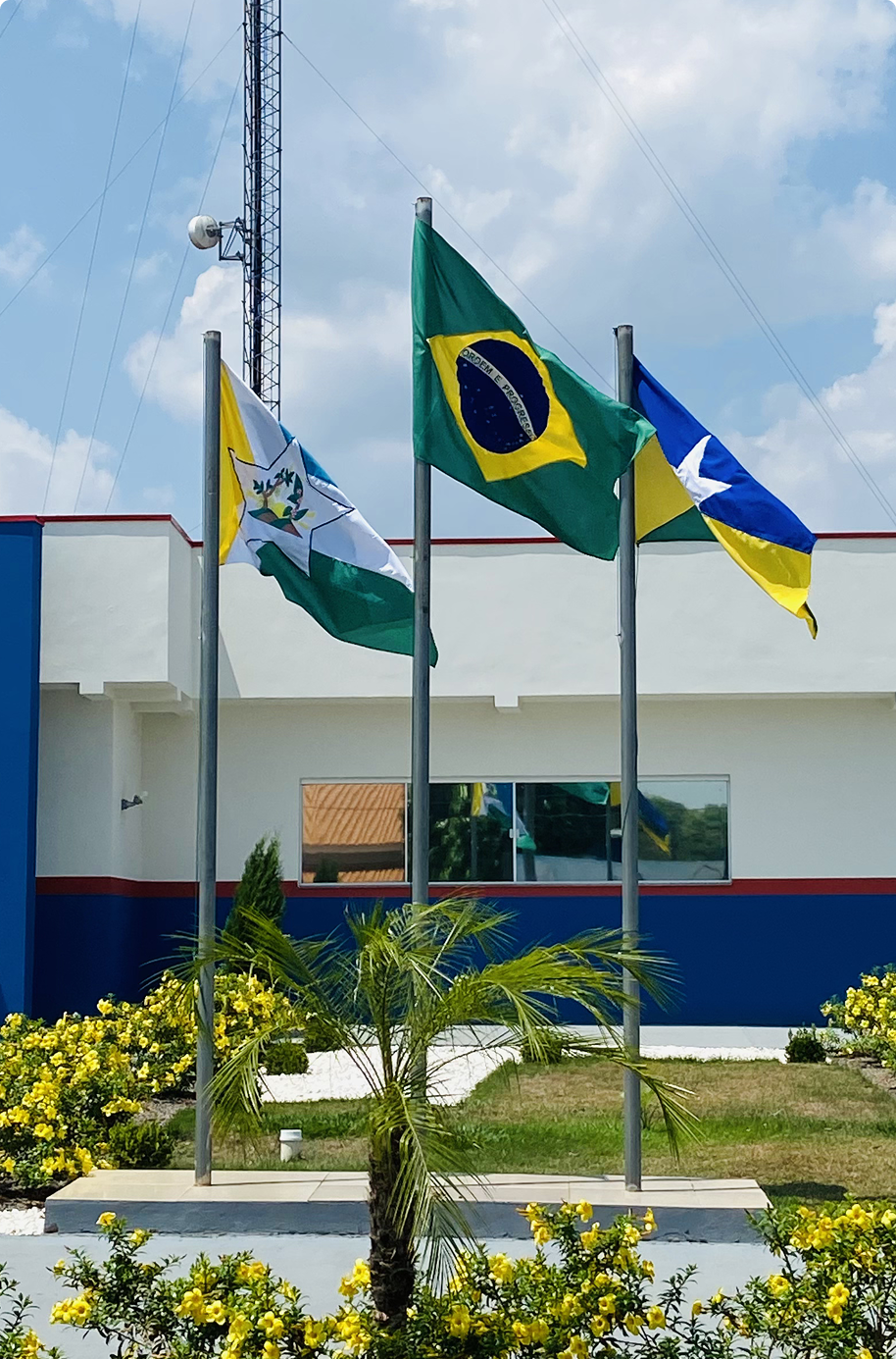 Brasão de Mirante da Serra